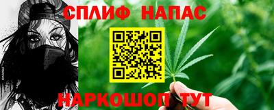СК Тула