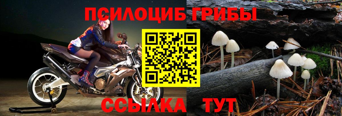 Псилоцибиновые грибы прущие грибы  Псилоцибиновые грибы Magic Shrooms  Вход с VPN  Новоуральск 